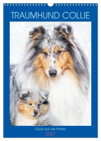 Traumhund Collie - Glück auf vier Pfoten (Wandkalender 2027 DIN A3 hoch), CALVENDO Monatskalender