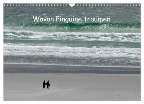 Wovon Pinguine träumen (Wandkalender 2026 DIN A3 quer), CALVENDO Monatskalender