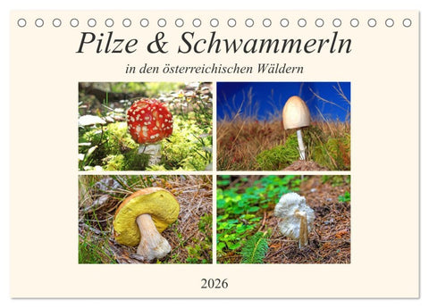 Pilze & Schwammerln (Tischkalender 2026 DIN A5 quer), CALVENDO Monatskalender