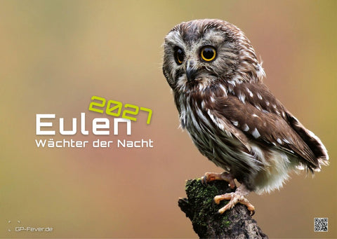 Eulen - Wächter der Nacht - 2027 - Kalender DIN A3