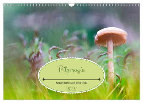 Pilzmagie (Wandkalender 2027 DIN A3 quer), CALVENDO Monatskalender