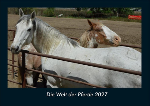 Die Welt der Pferde 2027 Fotokalender DIN A4