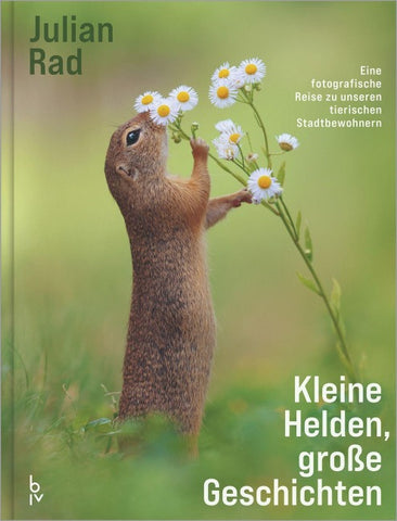 Kleine Helden – große Geschichten