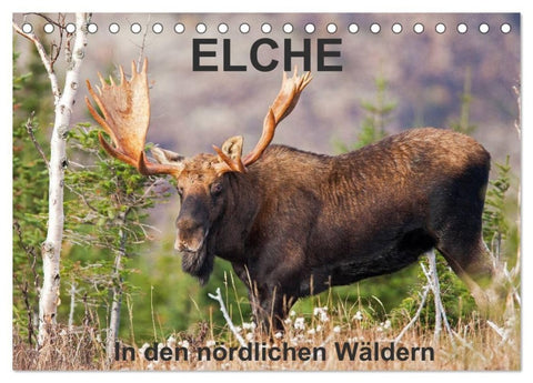 ELCHE In den nördlichen Wäldern (Tischkalender 2027 DIN A5 quer), CALVENDO Monatskalender