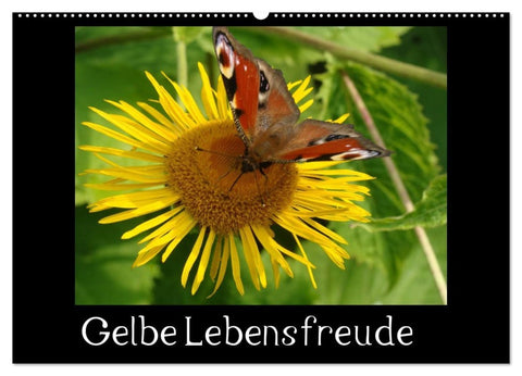 Gelbe Lebensfreude (Wandkalender 2026 DIN A2 quer), CALVENDO Monatskalender