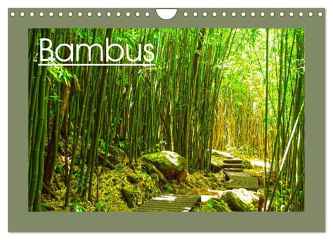 Bambus (Wandkalender 2027 DIN A4 quer), CALVENDO Monatskalender