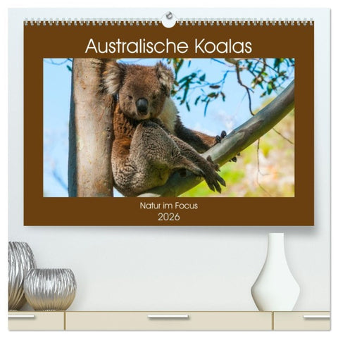 Australische Koalas (hochwertiger Premium Wandkalender 2026 DIN A2 quer), Kunstdruck in Hochglanz