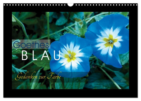 Goethes Blau. Gedanken zur Farbe (Wandkalender 2026 DIN A3 quer), CALVENDO Monatskalender