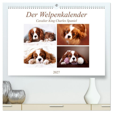 Der Welpenkalender - Cavalier King Charles Spaniel (hochwertiger Premium Wandkalender 2027 DIN A2 quer), Kunstdruck in Hochglanz