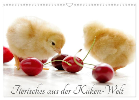 Tierisches aus der Küken-Welt (Wandkalender 2026 DIN A3 quer), CALVENDO Monatskalender