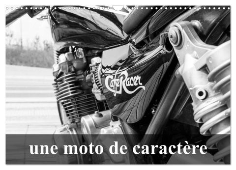 Une moto de caractère (Calendrier mural 2027 DIN A3 vertical), CALVENDO calendrier mensuel