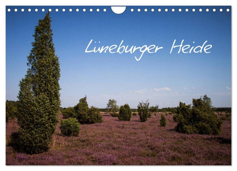 Lüneburger Heide (Wandkalender 2026 DIN A4 quer), CALVENDO Monatskalender