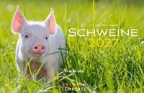 Schweine Kalender 2027
