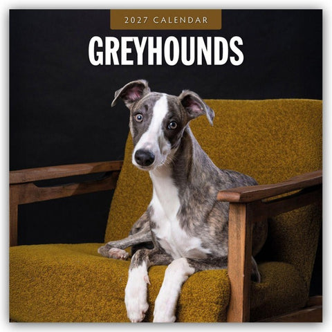 Greyhound – Windhund 2027 – 16-Monatskalender