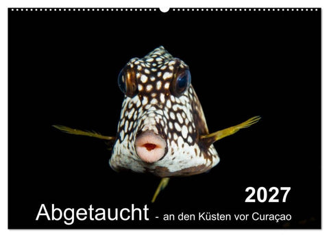 Abgetaucht - an den Küsten vor Curaçao (Wandkalender 2027 DIN A2 quer), CALVENDO Monatskalender