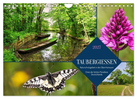 Taubergießen (Wandkalender 2027 DIN A4 quer), CALVENDO Monatskalender