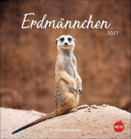Erdmännchen Postkartenkalender 2027