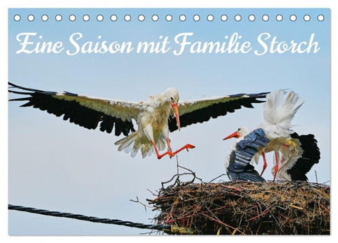 Eine Saison mit Familie Storch (Tischkalender 2027 DIN A5 quer), CALVENDO Monatskalender