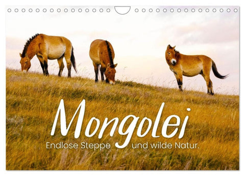 Mongolei - Endlose Steppe und wilde Natur. (Wandkalender 2027 DIN A4 quer), CALVENDO Monatskalender