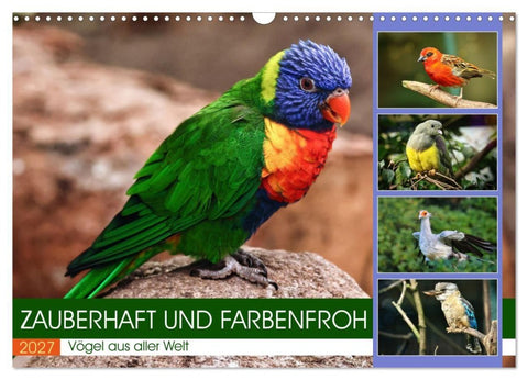 Zauberhaft und farbenfroh (Wandkalender 2027 DIN A3 quer), CALVENDO Monatskalender