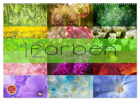 12 Farben (Wandkalender 2026 DIN A2 quer), CALVENDO Monatskalender