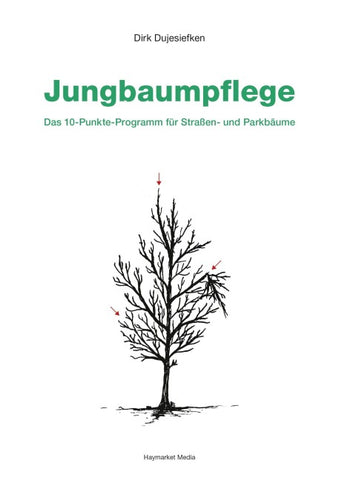 Jungbaumpflege