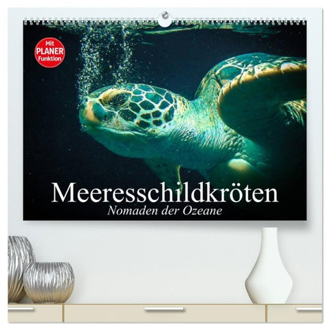 Meeresschildkröten. Nomaden der Ozeane (hochwertiger Premium Wandkalender 2026 DIN A2 quer), Kunstdruck in Hochglanz