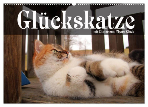 Glückskatze - Mit Zitaten zum Thema Glück (Wandkalender 2026 DIN A2 quer), CALVENDO Monatskalender