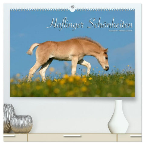 Haflinger Schönheiten (hochwertiger Premium Wandkalender 2026 DIN A2 quer), Kunstdruck in Hochglanz