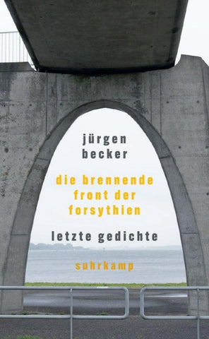 Die brennende Front der Forsythien