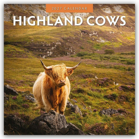 Highland Cows – Hochland Kühe 2027 – 16-Monatskalender
