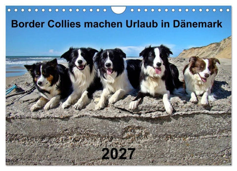 Border Collies machen Urlaub in Dänemark (Wandkalender 2027 DIN A4 quer), CALVENDO Monatskalender