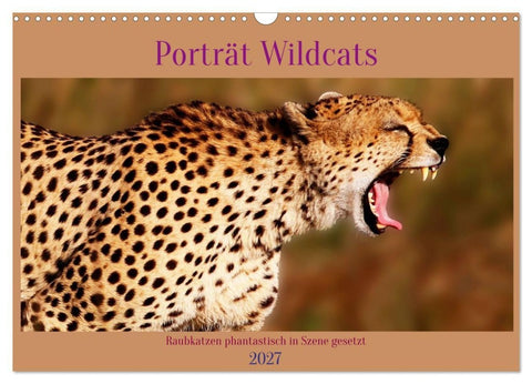 Porträt Wildcats (Wandkalender 2027 DIN A3 quer), CALVENDO Monatskalender