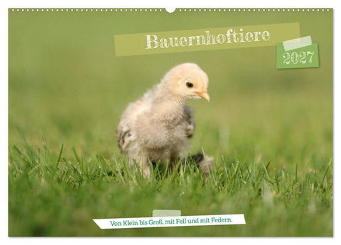 Bauernhoftiere - Von Klein bis Groß, mit Fell und mit Federn. (Wandkalender 2027 DIN A2 quer), CALVENDO Monatskalender