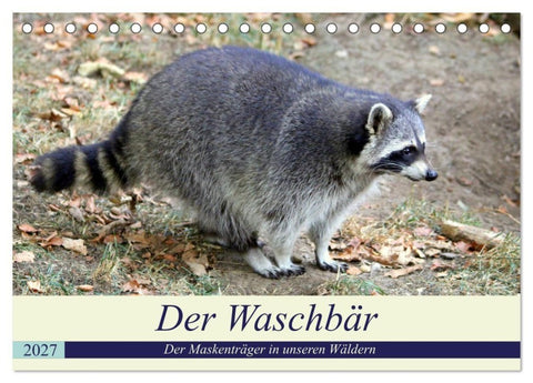 Der Waschbär - Der Maskenträger in unseren Wäldern (Tischkalender 2027 DIN A5 quer), CALVENDO Monatskalender