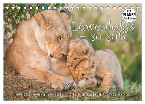 Emotionale Momente: Löwenbabys - so süß. (Tischkalender 2026 DIN A5 quer), CALVENDO Monatskalender