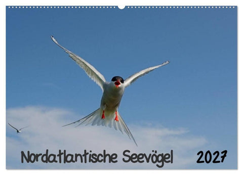 Nordatlantische Seevögel (Wandkalender 2027 DIN A2 quer), CALVENDO Monatskalender