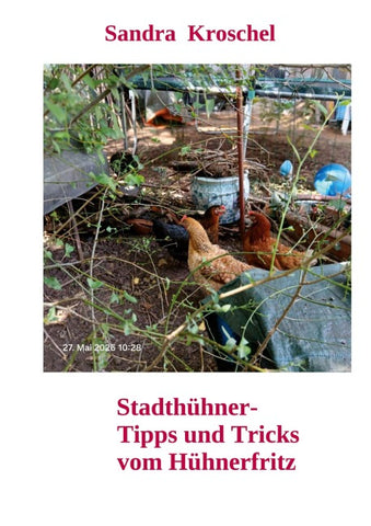 Stadthühner- Tipps und Tricks vom Hühnerfritz