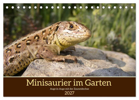 Minisaurier im Garten (Tischkalender 2027 DIN A5 quer), CALVENDO Monatskalender