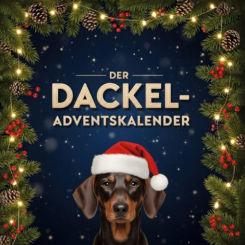 Der Dackel-Adventskalender