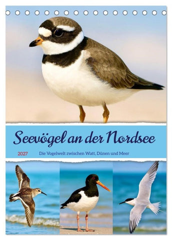 Seevögel an der Nordsee (Tischkalender 2027 DIN A5 hoch), CALVENDO Monatskalender