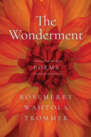 The Wonderment