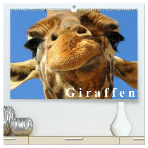 Giraffen / Geburtstagskalender (hochwertiger Premium Wandkalender 2026 DIN A2 quer), Kunstdruck in Hochglanz