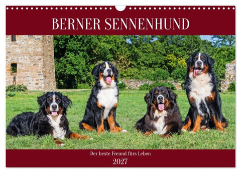 Berner Sennenhund - Der beste Freund fürs Leben (Wandkalender 2027 DIN A3 quer), CALVENDO Monatskalender