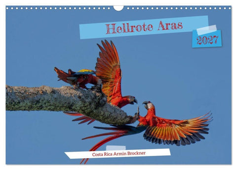 Hellrote Aras (Wandkalender 2027 DIN A3 quer), CALVENDO Monatskalender