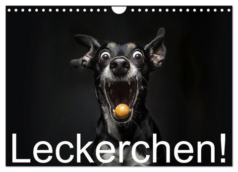 Leckerchen! (Wandkalender 2027 DIN A4 quer), CALVENDO Monatskalender