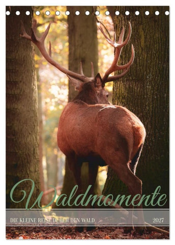 Waldmomente (Tischkalender 2027 DIN A5 hoch), CALVENDO Monatskalender