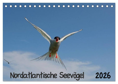 Nordatlantische Seevögel (Tischkalender 2026 DIN A5 quer), CALVENDO Monatskalender