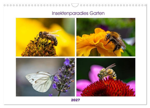 Insektenparadies Garten (Wandkalender 2027 DIN A3 quer), CALVENDO Monatskalender