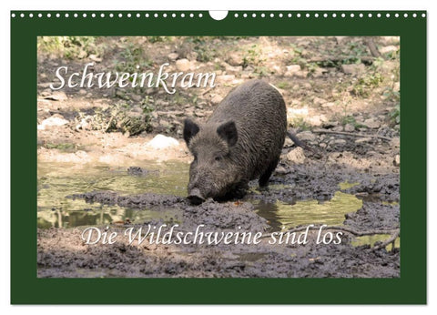 Schweinkram - Die Wildschweine sind los (Wandkalender 2026 DIN A3 quer), CALVENDO Monatskalender